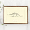 fossile brontosaurus