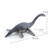 Figurine Dinosaure Plésiosaure Dimensions