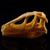 Réplique Crâne Dinosaure Côté - Dino Jurassic