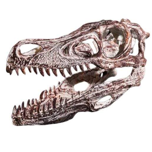 Spinosaurus Crâne - Dino Jurassic