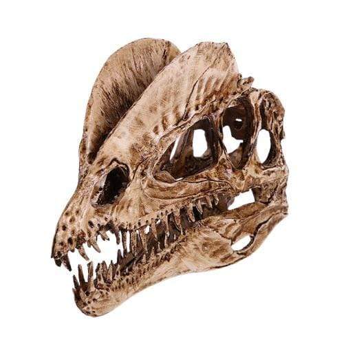 Crâne de Dinosaure - Dino Jurassic