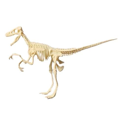 Figurine Squelette Dinosaure - Dino Jurassic