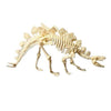 Figurine Squelette de Dinosaure à Monter - Dino Jurassic