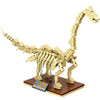 Jouet Squelette Diplodocus