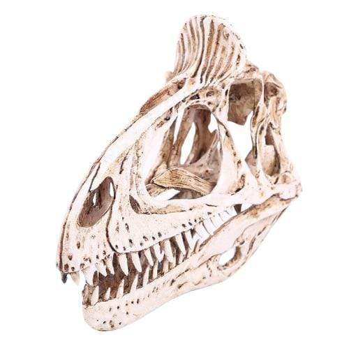 Réplique Crâne Allosaure - Dino Jurassic