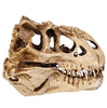 Crâne Redoutable T. Rex