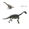 Jouet Dinosaure Os Diplodocus