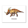 Déco Chambre Dinosaure Styracosaurus