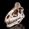 Réplique de Crâne Allosaure - Dino Jurassic