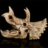 Réplique Crâne de Tricératops - Dino Jurassic