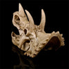 Réplique Crâne Tricératops - Dino Jurassic