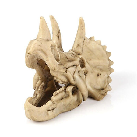 Crâne Tricératops - Dino Jurassic