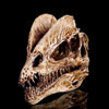 Crâne Dinosaure - Dino Jurassic