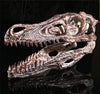 Crâne de Spinosaurus - Dino Jurassic