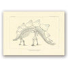 affiche Squelette stegosaure