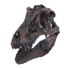 Crâne de Giganotosaure Dinosaure
