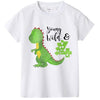 Tee-Shirt Dinosaure 8 Ans