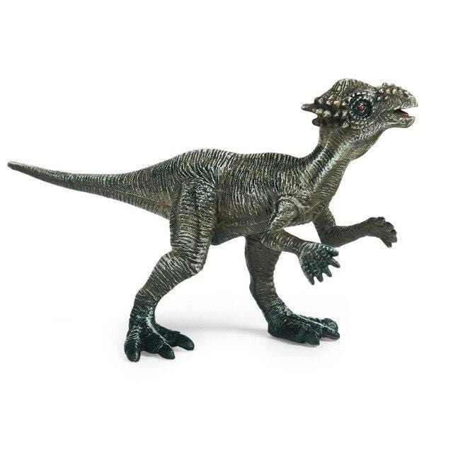 Figurine Dinosaure Dracorex