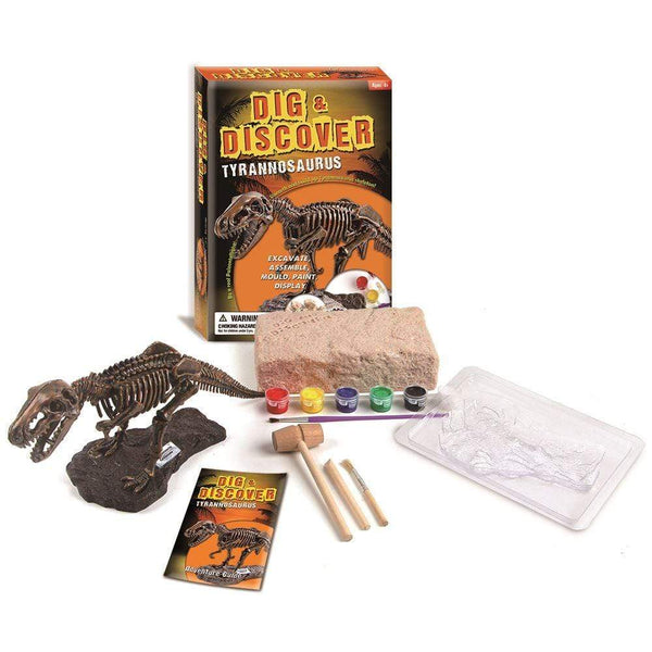 jouet fossile de dinosaure