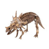 Jouet Archéologie Dinosaure Styracosaurus