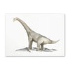 Peinture Chambre Enfant Dinosaure Brachiosaure