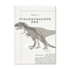 Deco Chambre Garcon Dinosaure t rex