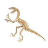 Puzzle 3D Squelette Dinosaure Vélociraptor